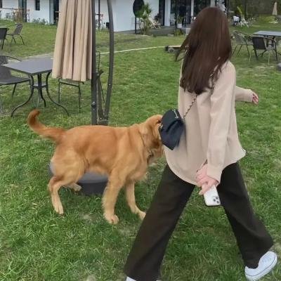 甜美错步