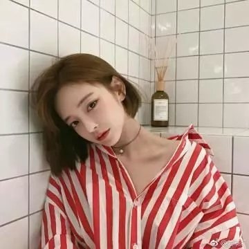 钢铁玫瑰