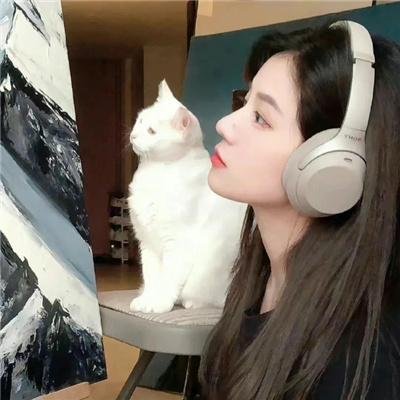 暗影守卫